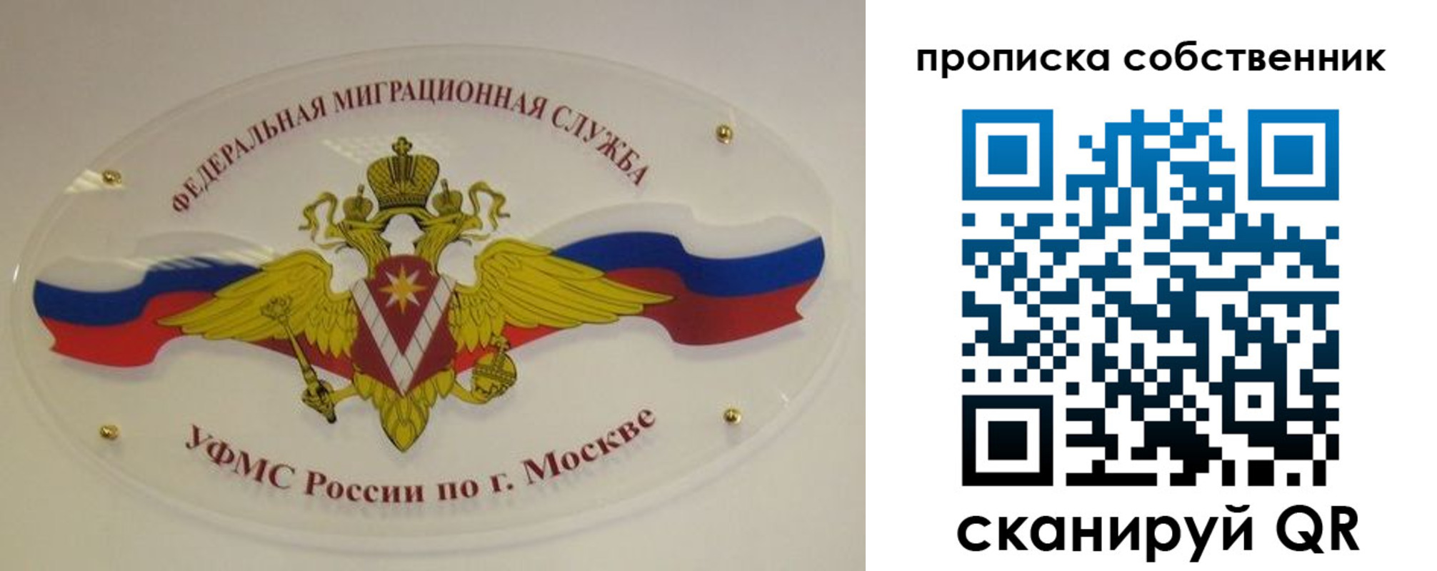 прописка 2025 в Ковылкино